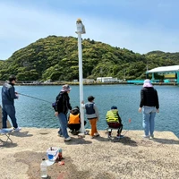 画像380